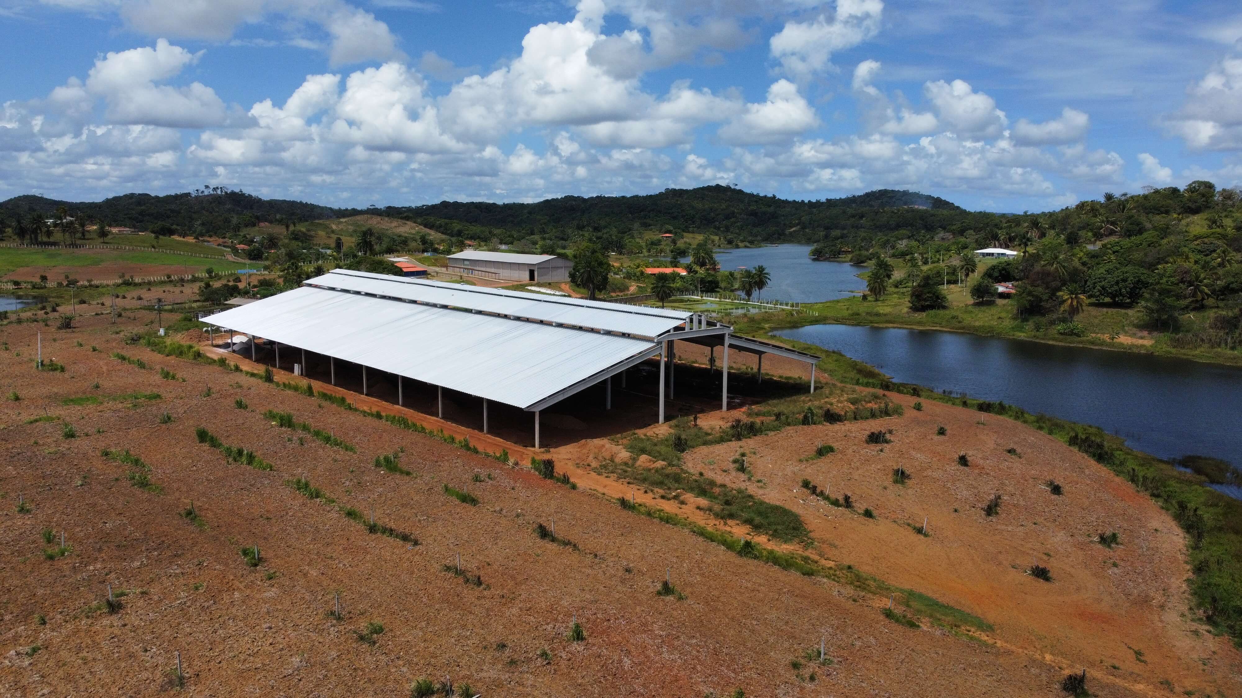 Galpão para confinamento – Telhar Sistemas Construtivos
